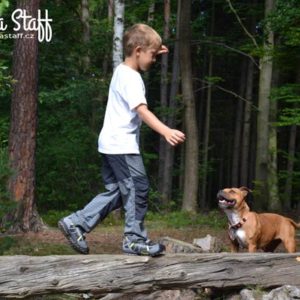 Stafordšírský bulteriér a děti